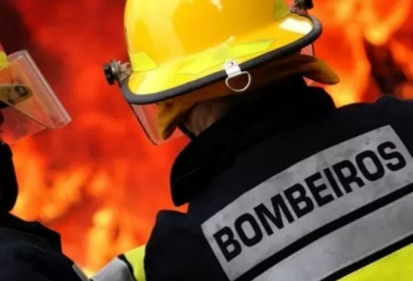  Incêndio: o emocionante salvamento  do cãozinho   MARLON