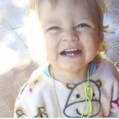  Bebê tem morte cerebral o após ser picado por escorpião dentro de casa em cidade do Sudoeste Paranaense