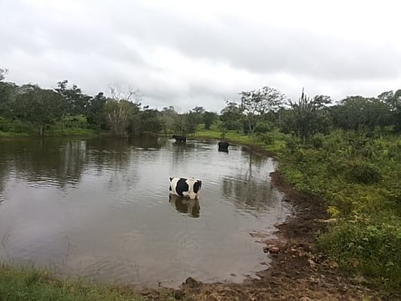  Menino morre afogado em represa no Dia das Crianças no interior do Paraná