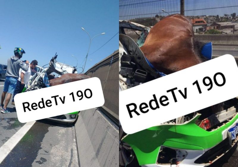  Acidente e carro e cavalos deixa motorista gravemente ferido na Br-116. ATENÇÃO IMAGENS FORTES: