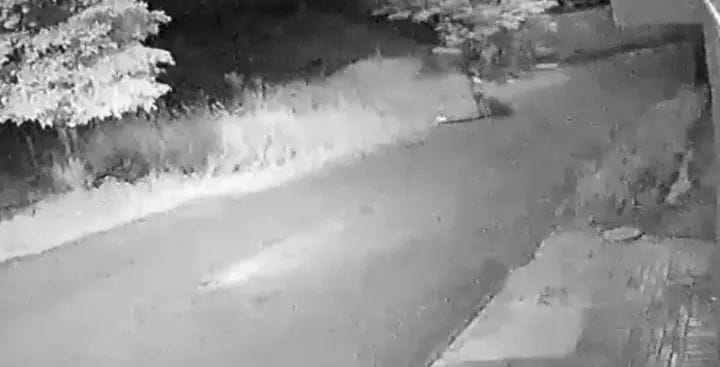  MULHER MORTA É ARRASTADA PELA RUA ATÉ SER JOGADA EM FUNDO DE VALE, EM IBIPORÃ, DIZ PM; EX-NAMORADO É SUSPEITO