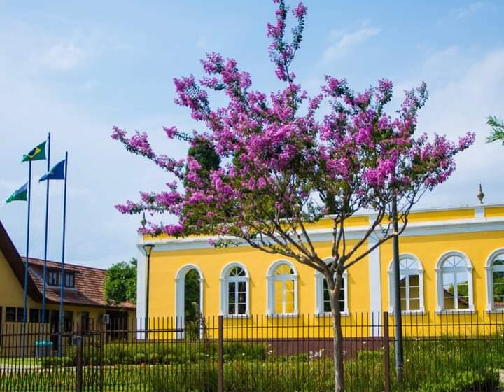  SÃO JOSÉ DOS PINHAIS | Prefeitura de São José dos Pinhais abre inscrições de PSS com 50 vagas para médicos e auxiliares.