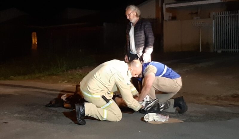  Empresário atropela namorada e é detido em Curitiba