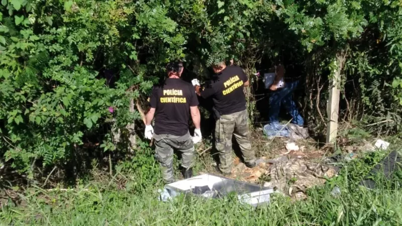  Corpo de homem com marcas de violência é encontrado às margens da BR-376, em São José dos Pinhais
