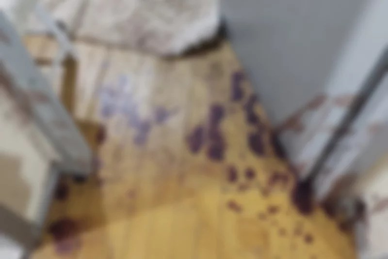  Adolescente é suspeito de matar sogra de 80 anos em Tijucas do Sul