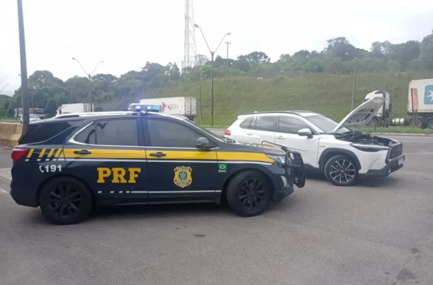  Veículos roubados no RJ e no RS são recuperados pela PRF em São José dos Pinhais; dois são presos