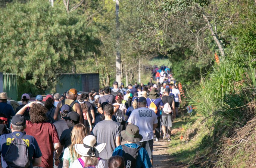  11ª Caminhada na Natureza – Circuito Campina do Taquaral acontece em 15 de setembro em São José dos Pinhais