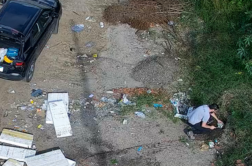  Muralha Digital flagra maus-tratos a porquinho-da-índia em São José dos Pinhais e ajuda a prender agressor