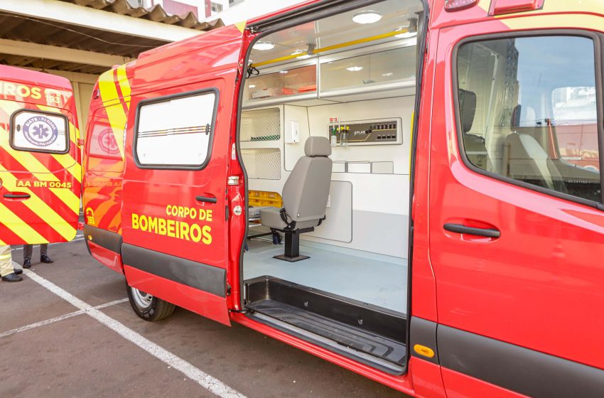  Funcionária é gravemente ferida em ataque de cães em empresa de São José dos Pinhais