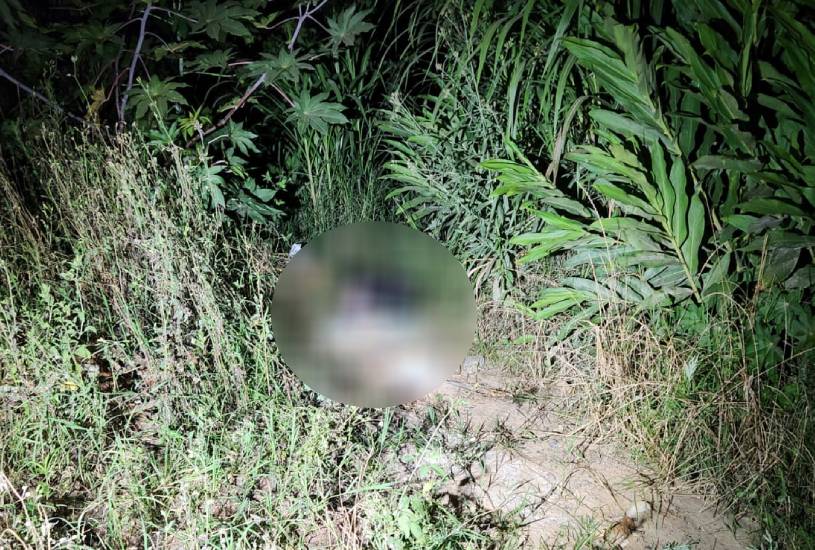  Recém-nascido é encontrado sem vida em matagal na Grande Curitiba