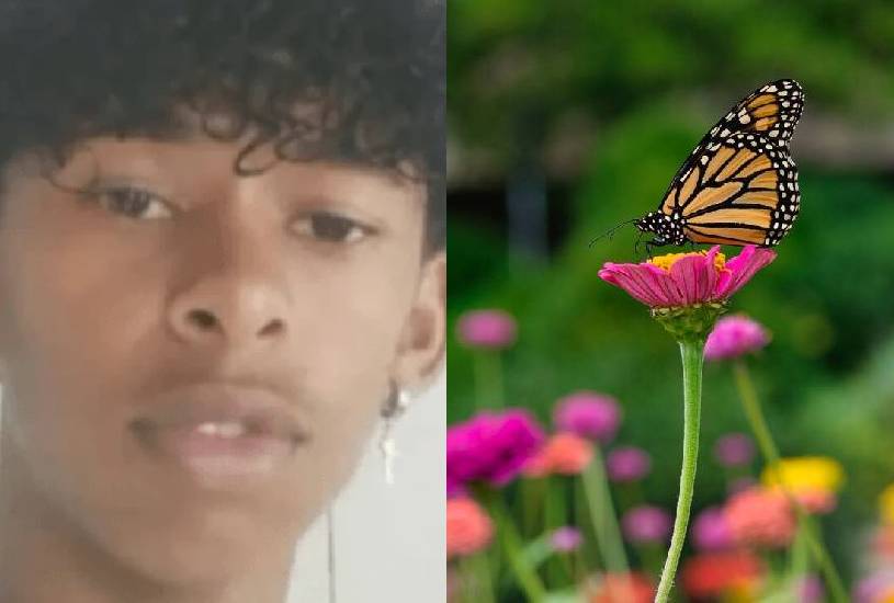  CHOQUE E MISTÉRIO! JOVEM MORRE APÓS INJETAR LÍQUIDO DE BORBOLETA NO CORPO