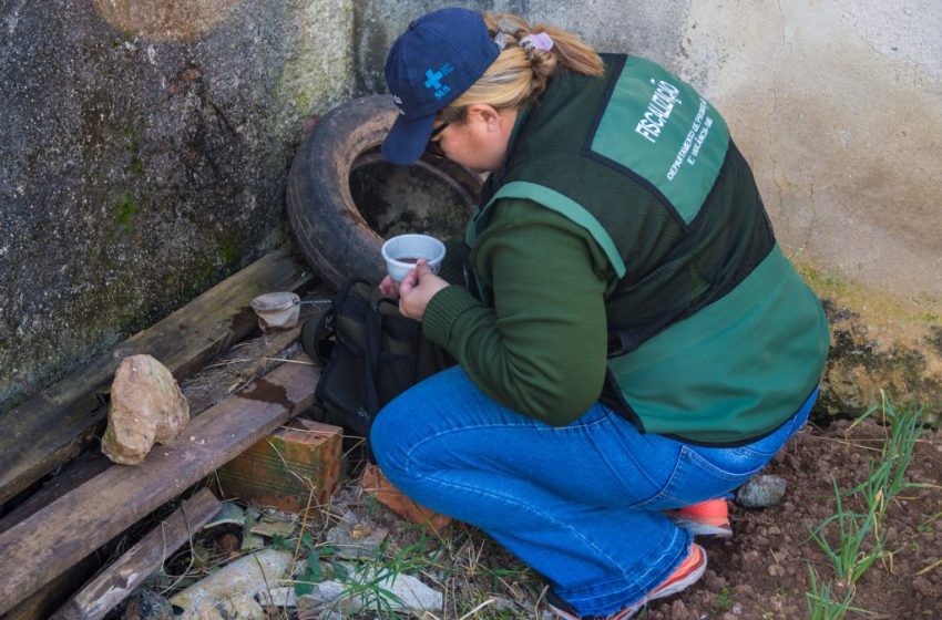  Casos de Dengue aumentam em São José dos Pinhais e Prefeitura inicia mutirões contra o mosquito Aedes aegypti