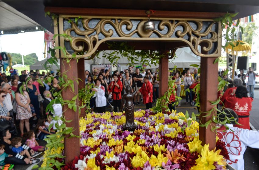 Festival Hana Matsuri Acontece Neste Final de Semana em São José dos Pinhais