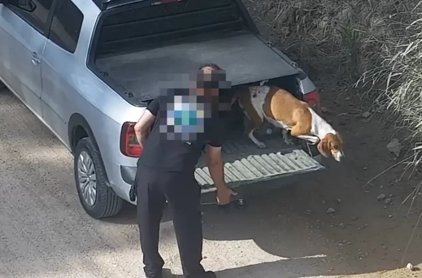  Homem é preso em flagrante por abandonar cachorra em São José dos Pinhais