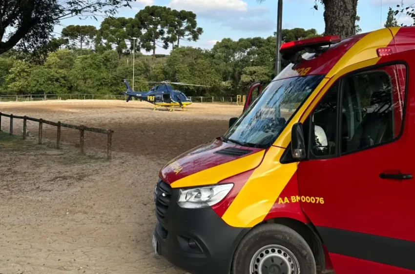  Adolescente de 15 anos fica gravemente ferida após levar coice de cavalo em haras de Colombo