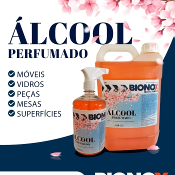 494473866_1245935527535785_7492036434916183370_n