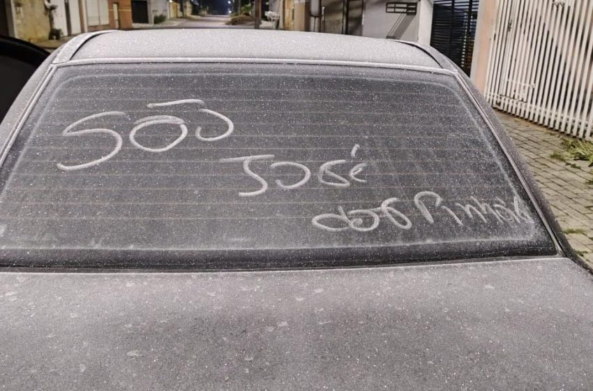  Geada e -1°C congelam São José dos Pinhais e desafiam produtores rurais