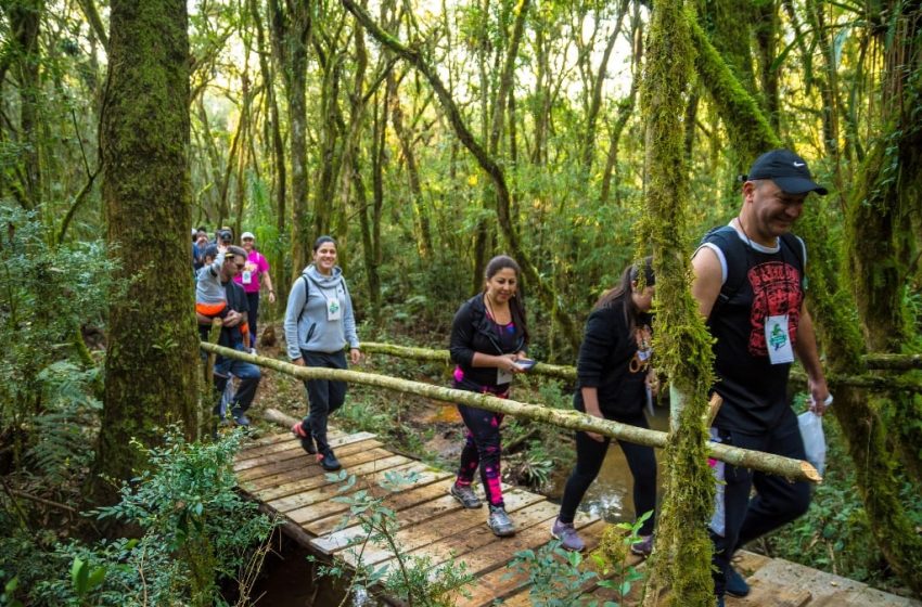  São José dos Pinhais inaugura Circuito Roça Velha e reforça destaque no ecoturismo nacional