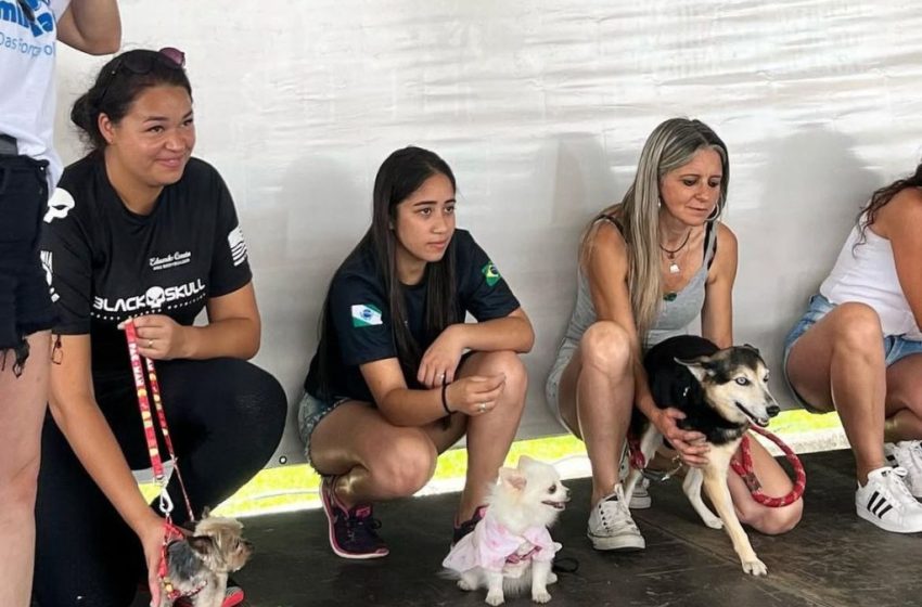  2ª Cãominhada de São José dos Pinhais promete diversão e conscientização neste sábado (11)