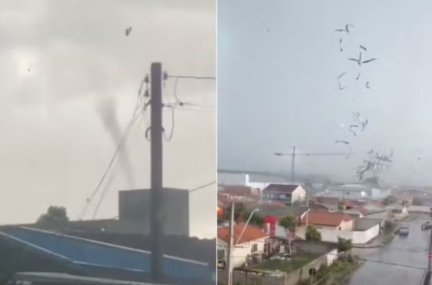  Simepar confirma ocorrência de tornado em São José dos Pinhais