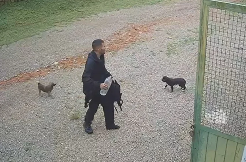  Jovem relata como sobreviveu cinco dias perdido no Pico Paraná