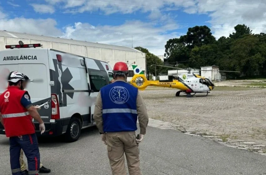  Trabalhador fica gravemente ferido após queda durante corte de árvore em São José dos Pinhais