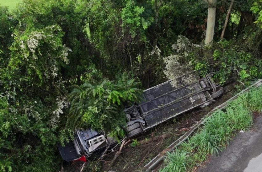  Ônibus cai em ribanceira na BR-470 e deixa três mortos e 13 feridos em Agronômica (SC)
