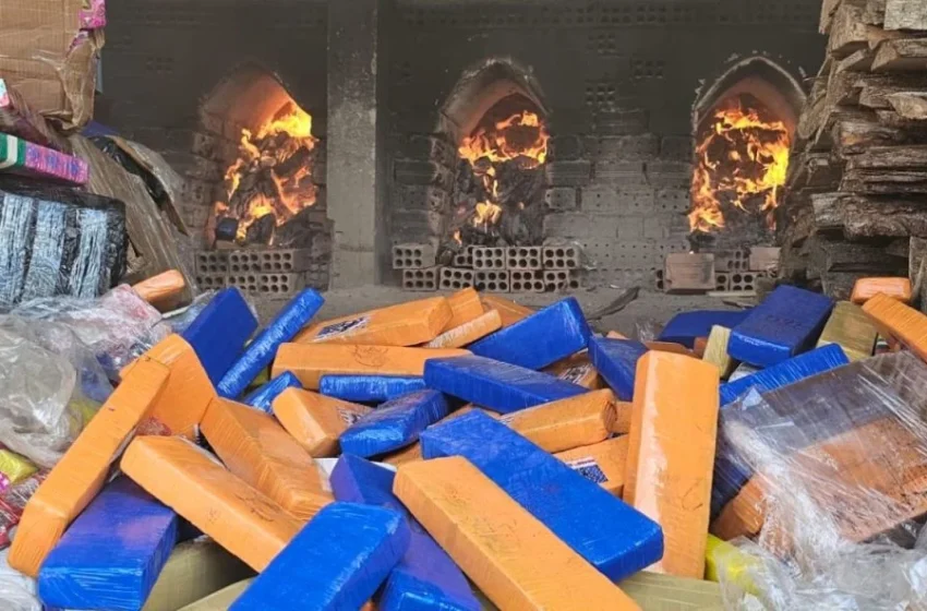  Polícia incinera três toneladas de drogas apreendidas em São José dos Pinhais