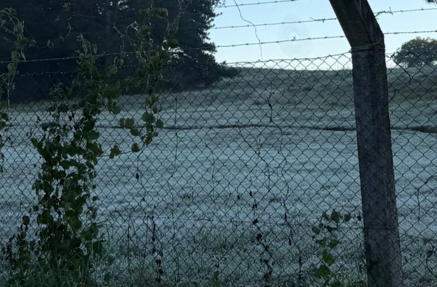  São José dos Pinhais amanhece coberta por geada e registra temperaturas próximas de 0°C