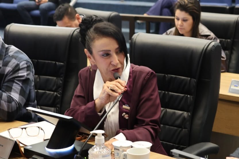  Vereadora Débora Chemin encerra primeiro semestre legislativo com atuação destacada em São José dos Pinhais